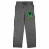Licensed Character Men's Minecraft Creeper Badge Sleep Pants -Licensed Character Shop unnamed file 11462