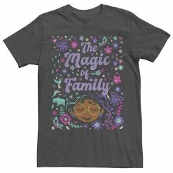 Licensed Character Men's Disney Encanto The Magic Of Family Collage Poster Tee Black -Licensed Character Shop unnamed file 15703