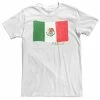 Licensed Character Big & Tall HHM Mexico Flag Watercolor Tee -Licensed Character Shop unnamed file 20971