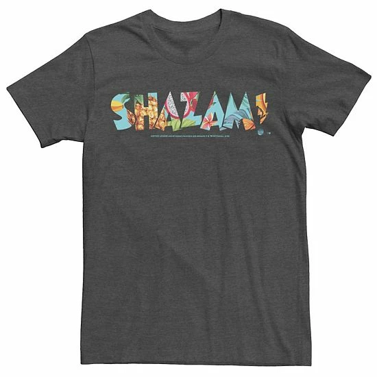 Licensed Character Men's DC Comics Shazam Dragon Fruit Logo Tee Black 9 Licensed Character Men's DC Comics Shazam Dragon Fruit Logo Tee Black - Image 7