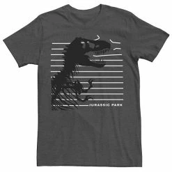 Licensed Character Men's Jurassic Park T-Rex Broken Fence Tee Kelly Heather