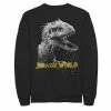 Licensed Character Men's Jurassic World Indominus Rex Profile View Fleece Graphic Pullover Black -Licensed Character Shop unnamed file 28593