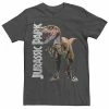 Licensed Character Men's Jurassic Park Velociraptor Full Body Tee Charcoal Heather -Licensed Character Shop unnamed file 31193