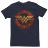 Licensed Character Men's DC Fandome Wonder Woman Illustrated Portrait Tee Light Blue -Licensed Character Shop unnamed file 31302