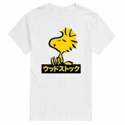 Licensed Character Men's Peanuts Kanji Woodstock Tee Gray -Licensed Character Shop unnamed file 35675
