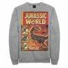 Licensed Character Men's Jurassic World Two Dino-Mite Tales Vintage Fleece Charcoal Heather -Licensed Character Shop unnamed file 36072