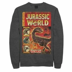 Licensed Character Men's Jurassic World Two Dino-Mite Tales Vintage Fleece Charcoal Heather -Licensed Character Shop unnamed file 36074