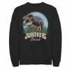 Licensed Character Men's Jurassic Park Life Finds A Way Vibrant Fleece Graphic Pullover Black -Licensed Character Shop unnamed file 36093