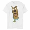 Licensed Character Boys 8-20 Scooby-Doo Big Face Graphic Tee Royal -Licensed Character Shop unnamed file 42764