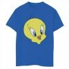 Licensed Character Boys 8-20 Looney Tunes Tweety Bird Big Face Graphic Tee Royal