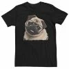 Licensed Character Men's Pug Nerd Graphic Tee -Licensed Character Shop unnamed file 5692